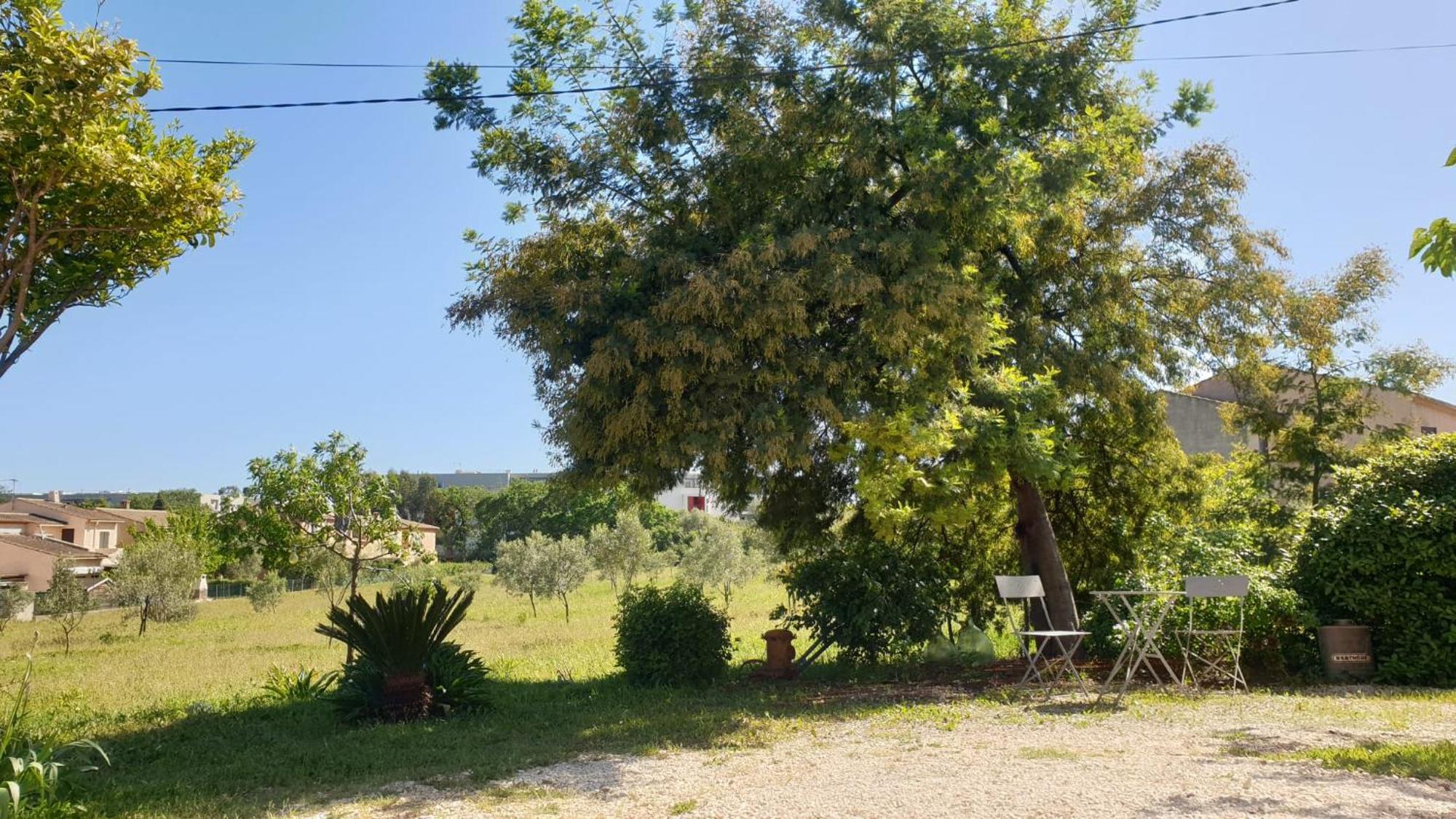 L'Oliveraie Hyeres Exterior photo